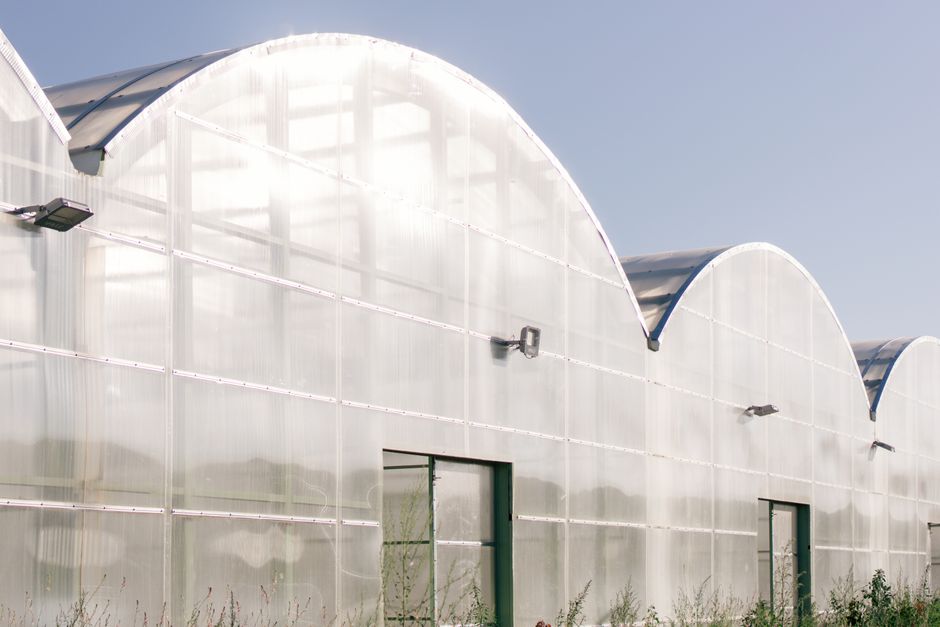 Module d’intégration de température sur ordinateur climatique (serre)