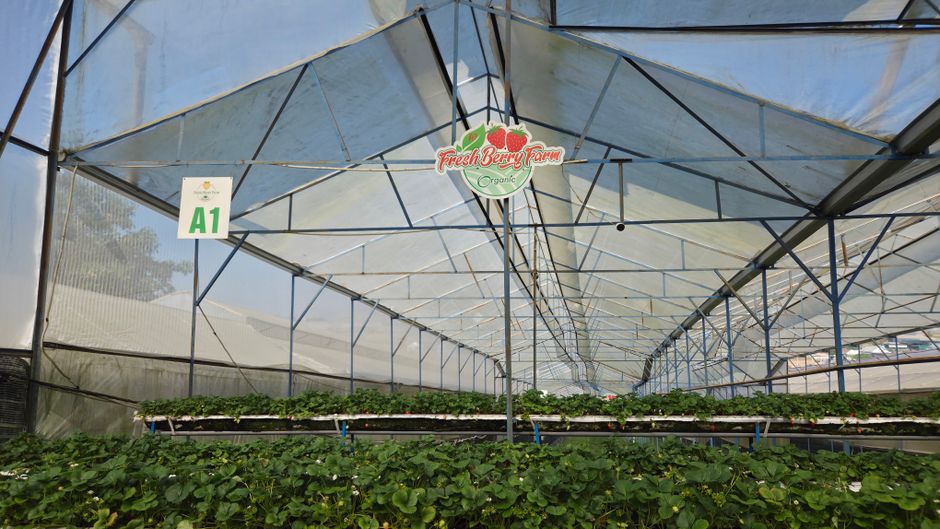 Écran thermique simple pour serre