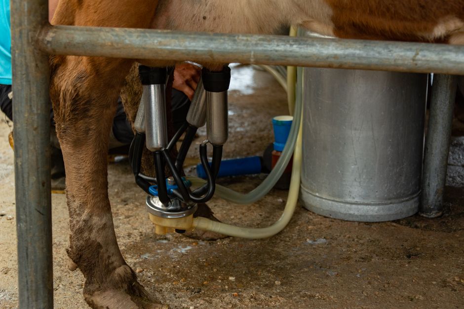 Récupérateur de chaleur sur tank à lait
